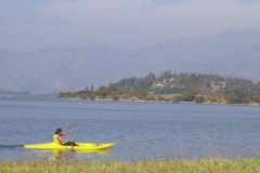 kayak50